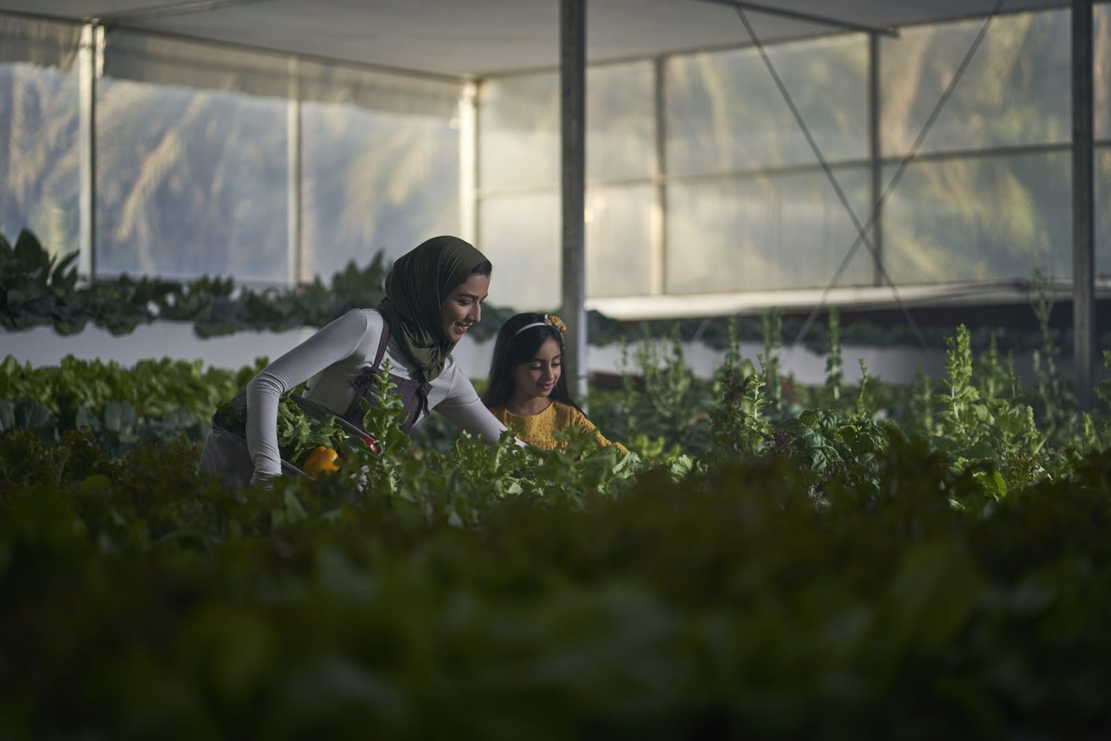 Family tending plants in an urban farm
